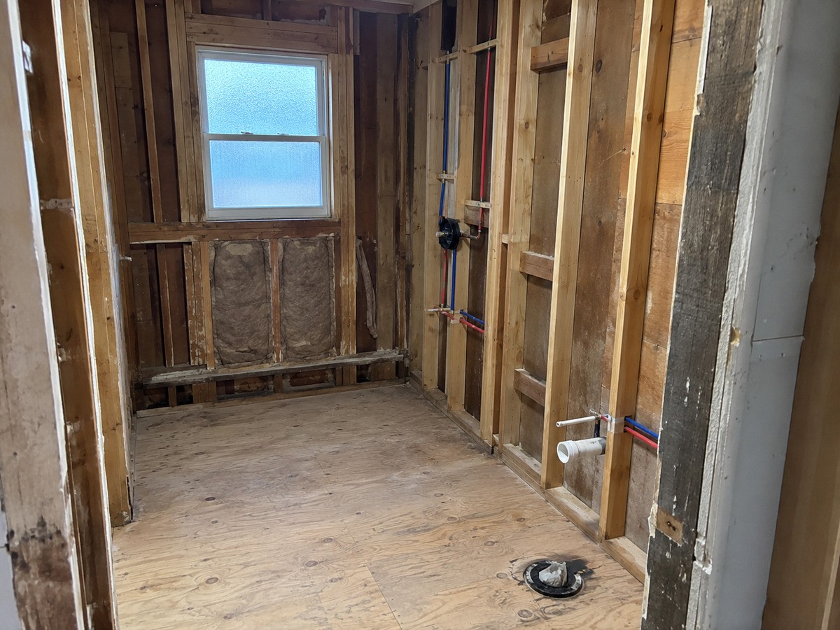 Tear-out down to the studs and subfloor where the room needs it